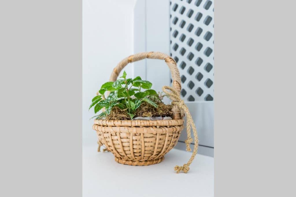 Myrtia House Skopelos Luaran gambar